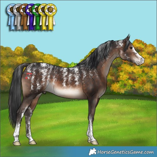 Horse Color:Powder White Brown 