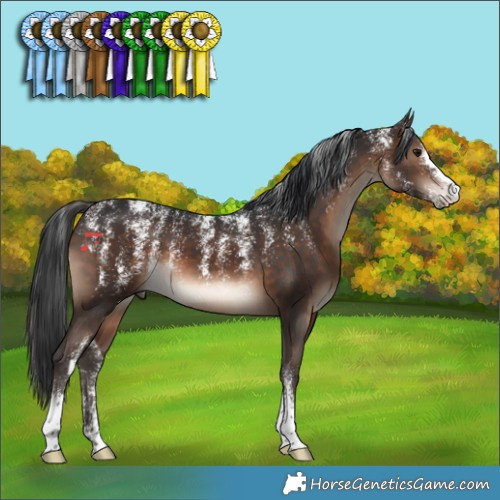 Horse Color:Powder White Brown 
