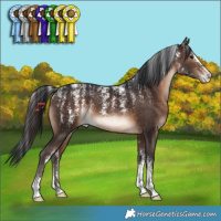 Horse Color:Powder White Brown 