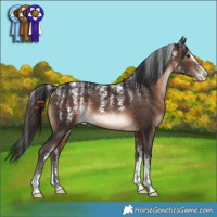 Horse Color:Powder White Brown