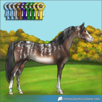 Horse Color:Powder White Brown 