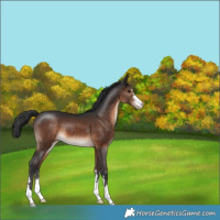 Horse Color:Brown 