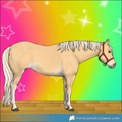 Horse Color:Palomino