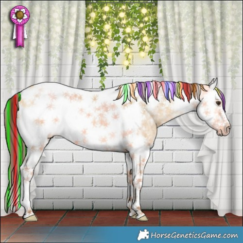 Horse Color:Painted Chocolate Buckskin Ice Dun Splash Tobiano Frame 