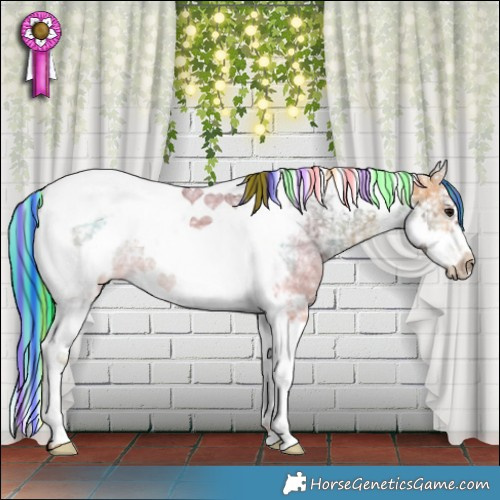 Horse Color:Painted Chocolate Buckskin Ice Tobiano Frame 