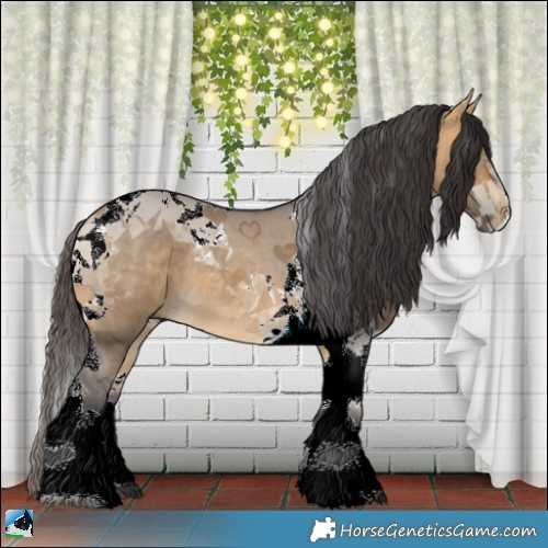 Horse Color:Buckskin Dun Tobiano 