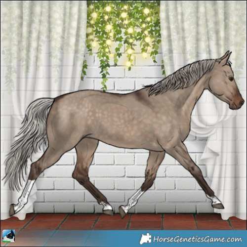 Horse Color:Silver Bay Dun Tobiano Rabicano 