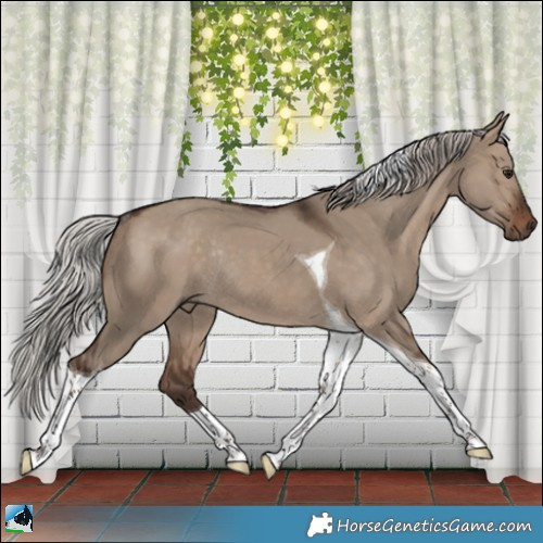 Horse Color:Silver Bay Dun Tobiano Rabicano 