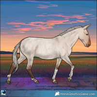 Horse Color:Silver Bay Roan Dun Tobiano Rabicano 