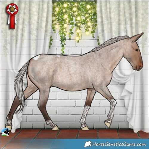 Horse Color:Silver Brown Roan Dun Tobiano Rabicano