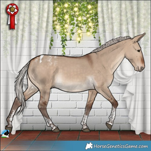 Horse Color:Powder White Silver Bay Dun Tobiano Rabicano 