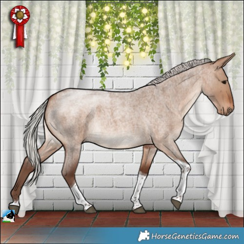 Horse Color:Silver Bay Roan Dun Tobiano Rabicano 