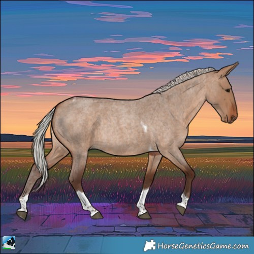 Horse Color:Silver Bay Roan Dun Tobiano Rabicano 