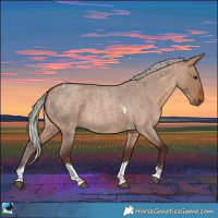 Horse Color:Silver Bay Roan Dun Tobiano Rabicano 