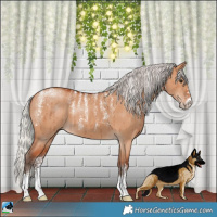 Horse Color:Powder White Silver Bay Dun Brindle 