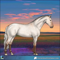 Horse Color:Silver Bay Roan Dun Brindle 