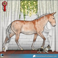 Horse Color:Powder White Silver Bay Dun Brindle
