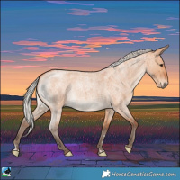 Horse Color:Silver Bay Roan Dun Brindle 