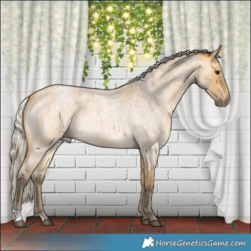 Horse Color:Silver Buckskin Roan 