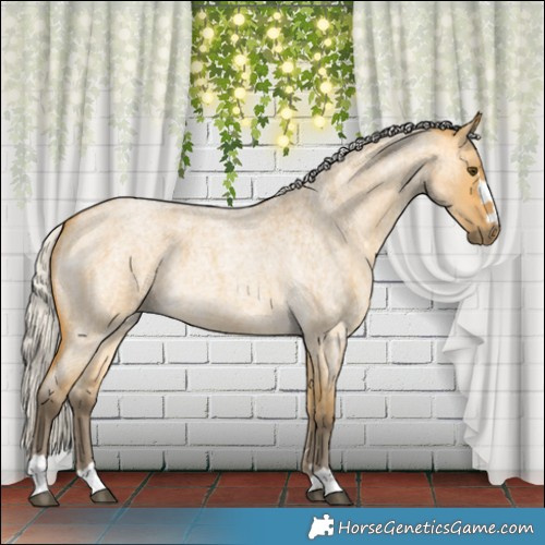 Horse Color:Silver Buckskin Roan Dun 