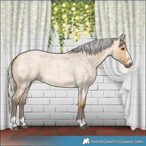 Horse Color:Silver Buckskin Roan Dun 