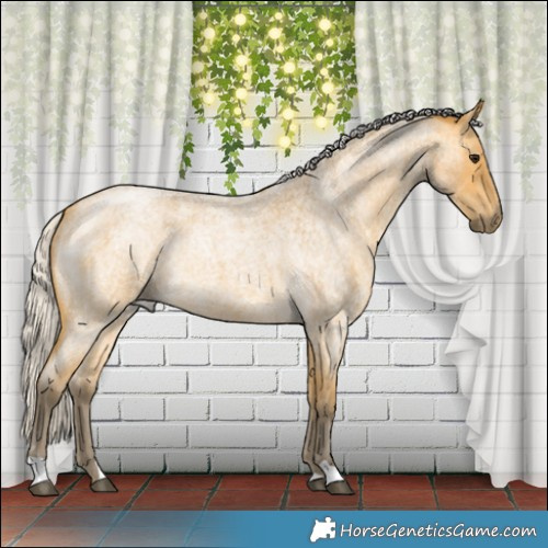 Horse Color:Silver Buckskin Roan 