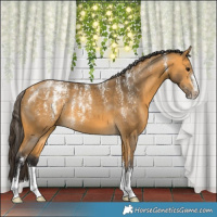 Horse Color:Powder White Buckskin 