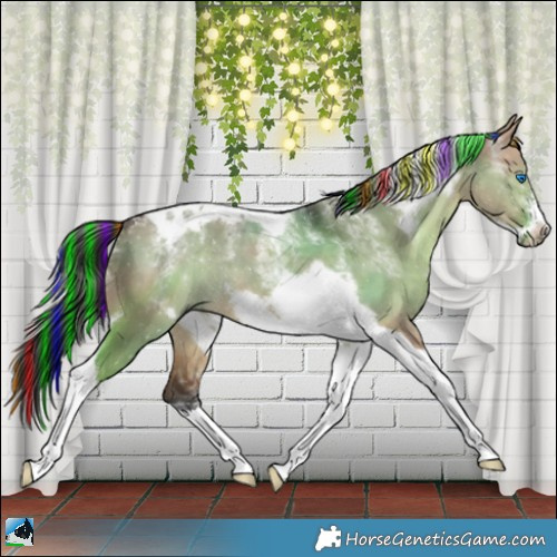 Horse Color:Powder White Painted Brown Dun Tobiano Frame 