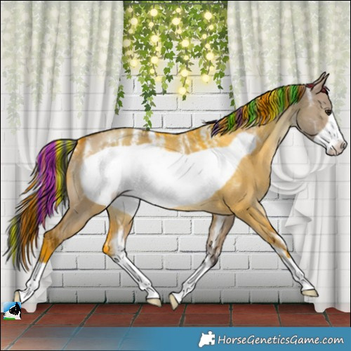 Horse Color:Powder White Painted Brown Dun Frame 