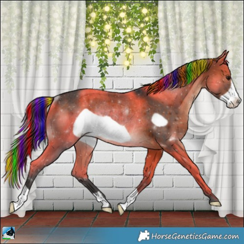 Horse Color:Painted Brown Frame Rabicano 