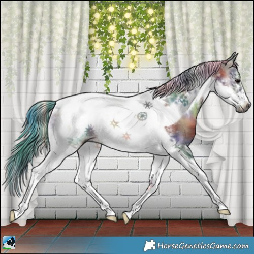 Horse Color:Gray Nacre Brown Onyx Tobiano Frame Rabicano 