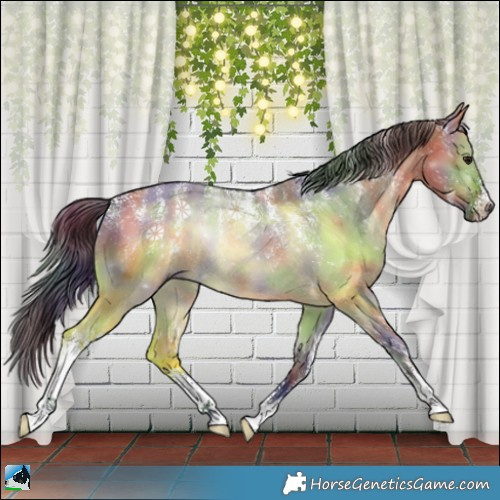 Horse Color:Powder White Nacre Brown Dun 