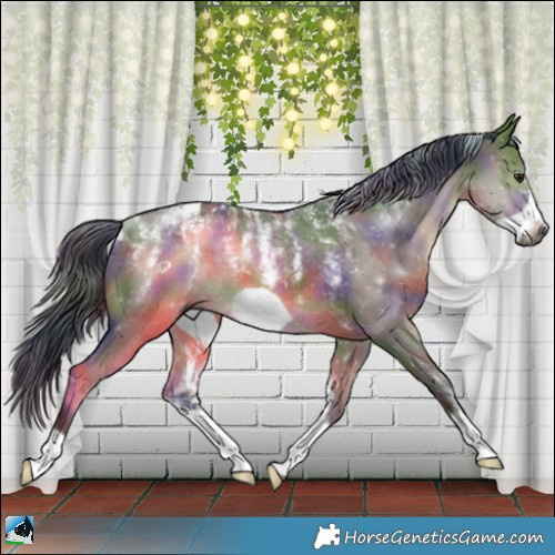 Horse Color:Powder White Gray Nacre Brown Dun Frame Rabicano 
