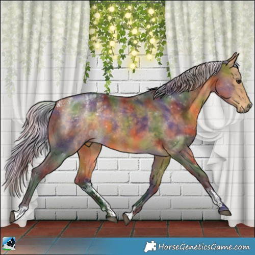 Horse Color:Powder White Nacre Silver Buckskin 