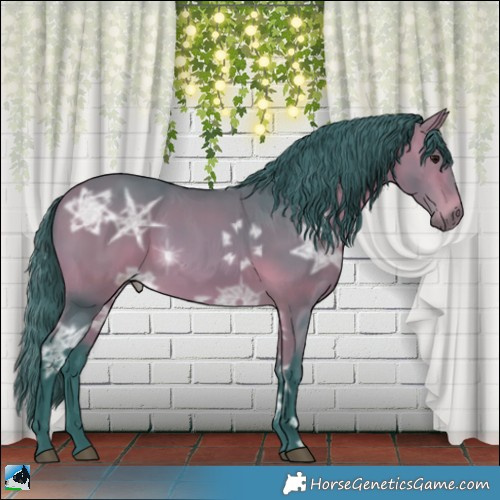 Horse Color:Watercolor Bay Ice 