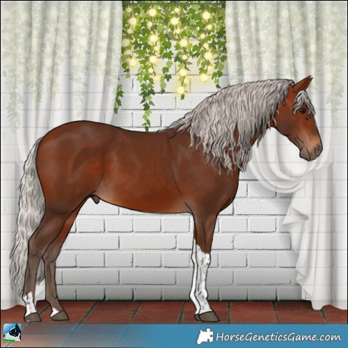 Horse Color:Silver Bay Tobiano 