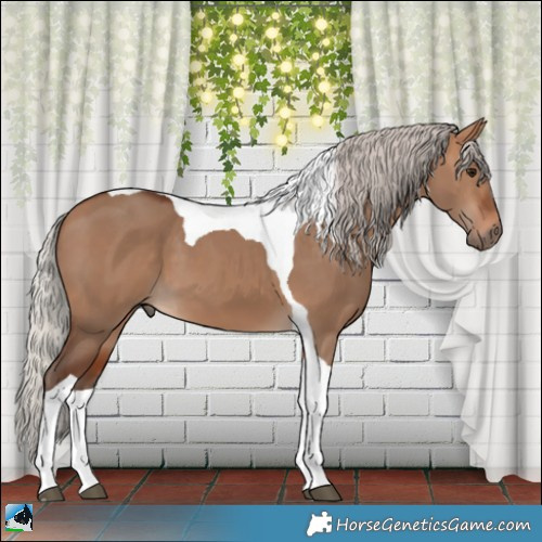 Horse Color:Silver Bay Dun Tobiano 