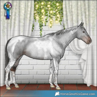 Horse Color:Liver Chestnut Tobiano Rabicano