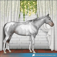 Horse Color:Liver Chestnut Tobiano Rabicano