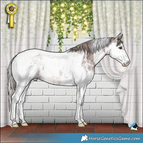 Horse Color:Liver Chestnut Ice Sabino Splash Tobiano Rabicano 