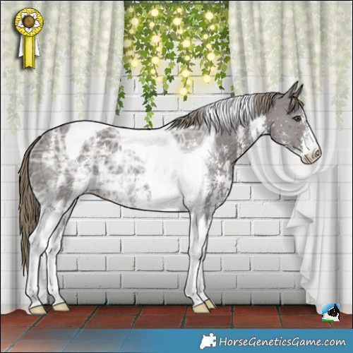Horse Color:Liver Chestnut Ice Sabino Tobiano Rabicano 