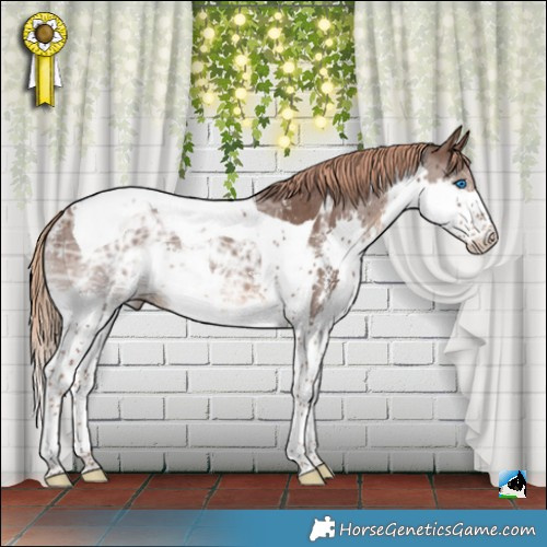 Horse Color:Liver Chestnut Ice Sabino Splash Tobiano Rabicano 