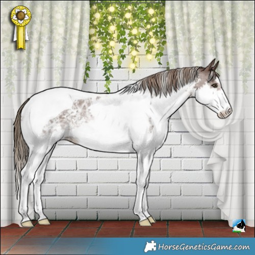 Horse Color:Liver Chestnut Ice Sabino Splash Tobiano Rabicano 