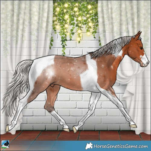 Horse Color:Silver Bay Tobiano 
