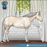 Horse Color:Silver Buckskin Ice Pearl Tobiano