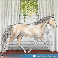 Horse Color:Silver Buckskin Ice Pearl Tobiano