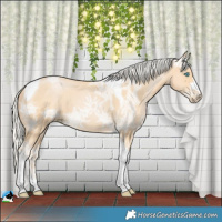 Horse Color:Silver Buckskin Ice Pearl Tobiano 