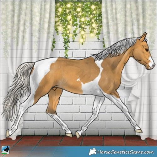 Horse Color:Silver Buckskin Tobiano 