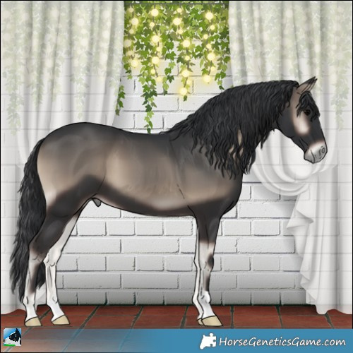 Horse Color:Blue Onyx 
