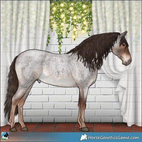 Horse Color:Liver Red Roan Rabicano 